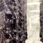 Otvorena najveća fabrika komaraca na svetu: Nedeljno izbaci 190 miliona krvopija (VIDEO)