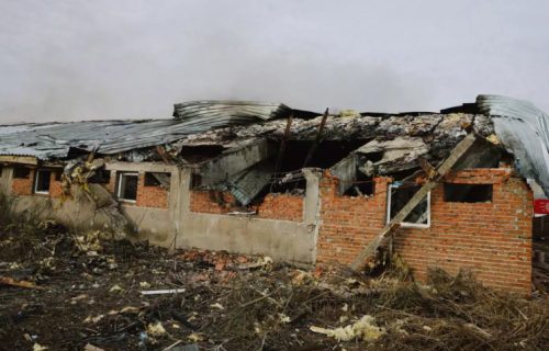 Pokolj svinja dronovima: Ukrajinci optužili Ruse da su ubili 13.000 životinja na jednoj farmi