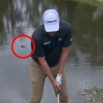 Pogledao zver u oči i nastavio da igra: Golfer čeličnih živaca rizikovao život zbog udarca (VIDEO)