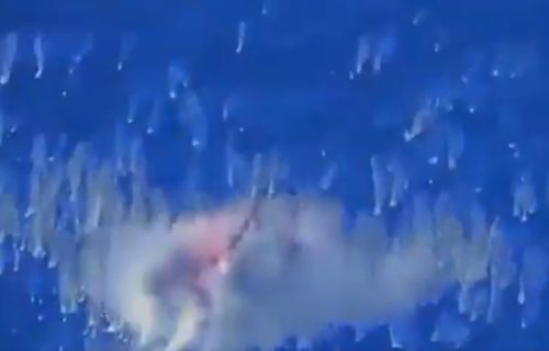 Američka vojska izvela napad: Svi na brodu odleteli u vazduh, ministar rata se pohvalio snimkom (VIDEO)