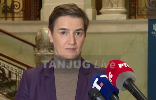 Brnabić sa samita Krimske platforme: "Gde je poštovanje teritorijalnog integriteta Srbije u svemu tome?"