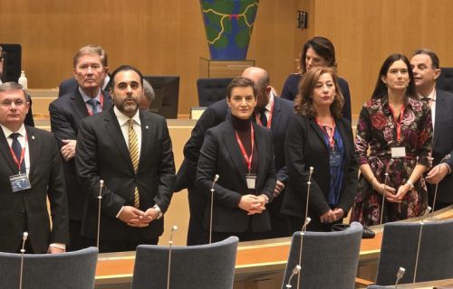 Brnabić na samitu Krimske platforme u Stokholmu, očekuju se sastanci na marginama