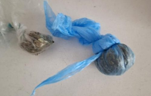 Policajci zatekli maloletnika u Inđiji sa biljkom za koju se sumnja da je marihuana: Kad ih je ugledao dao se u beg