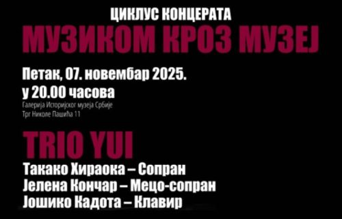 Ciklus koncerata "Muzikom kroz muzej": Nastupiće japanski trio YUI
