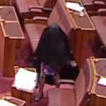 Poslanica u burki izazvala haos u parlamentu: Muslimani besni zbog "rasističkog gesta" (VIDEO)