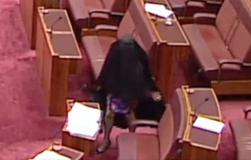 Poslanica u burki izazvala haos u parlamentu: Muslimani besni zbog "rasističkog gesta" (VIDEO)