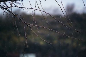 Pred nama još jedan tmuran i hladan dan: Očekuju se povremena kiša i sneg