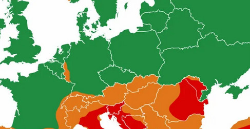Mrežama kruži mapa mapa Balkana u crvenom: Evropa podeljena na tri zone, mi smo u srednje rizičnoj