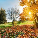 Danas nešto toplije, ali promenljivo vreme: Posle hladnog jutra temperatura do 20 stepeni