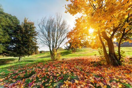 Danas nešto toplije, ali promenljivo vreme: Posle hladnog jutra temperatura do 20 stepeni