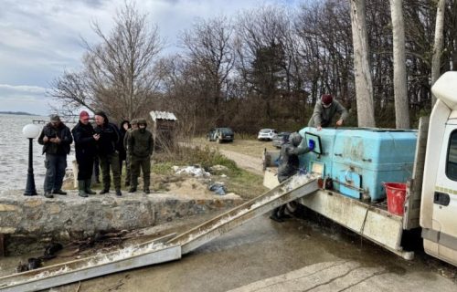 Veliko zimsko poribljavanje ribarskih područja koje koristi JP "Vojvodina šume"
