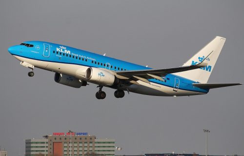 Avion koji je leteo za Beograd bio je pun stenica: Porodica iz Amerike podigla tužbu protiv dve avio-kompanije
