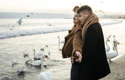 Psihološki trik koji je zaludeo internet: Kažu da "bird theory" nepogrešivo otkriva da li u vašoj vezi postoji iskrena bliskost