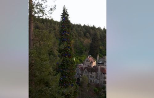 Ginis proglasio najvišu božićna jelka na svetu: Pogledajte kako je kite kranom (VIDEO)