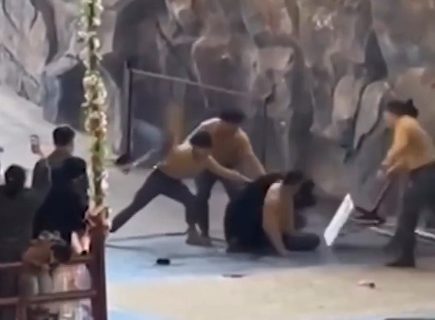 Izbio haos u zoo vrtu: Čuvar napravio veliku grešku, medved ga odmah oborio na zemlju (VIDEO)