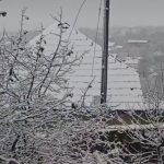 Negotin se zabeleo: Sneg padao od jutra, u tom kraju se očekuje još običnih padavina (VIDEO)