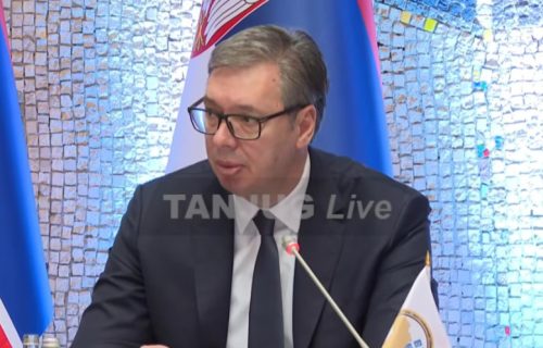Vučić na konferenciji "Srbija - Afrika 2025": "Naši odnosi utkani u zajedničku borbu za slobodu i pravdu"