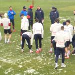 Najlakši rival na papiru: Zvezda protiv Malmea bez forme, motiva i rezultata juri prolaz u Ligi Evrope