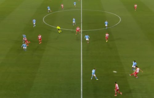 "Tiknizjan ne treba da ostane u Srbiji, potrebno je da potraži jači klub"