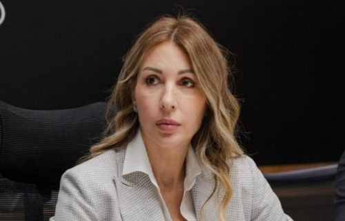 Ministarka Đedović otkrila šta je MOL tražio: Najnovije informacije o prodaji NIS-a