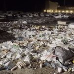Stravičan prizor u Dubrovniku: Leševi krave, ovce, mačke i "ko zna čega" isplivali na obalu