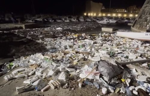 Stravičan prizor u Dubrovniku: Leševi krave, ovce, mačke i "ko zna čega" isplivali na obalu