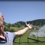Mit o "ukletoj šumi" na Pešteru: Priča se da oni koji iz nje iznesu drva čeka Božija kazna i nesreća