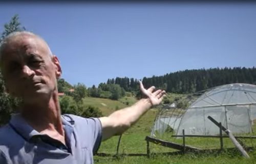 Mit o "ukletoj šumi" na Pešteru: Priča se da oni koji iz nje iznesu drva čeka Božija kazna i nesreća