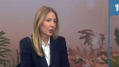 Nizak vodostaj Dunava pretio energetskom sektoru: Đedović Handanović poručuje da nema restrikcija