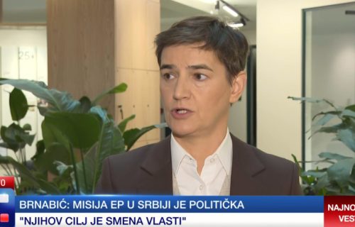 Brnabić o Piculi u Skuštini i izložbi o Jasenovcu: "Tek posle prvog sastanka ih je bilo dovoljno sramota"
