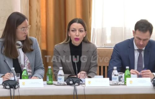 Mesarović: Struju trenutno nema 0,35 odsto potrošača, dobiće je do kraja dana ili sutra