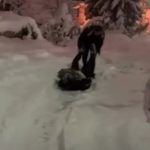 "Bebino prvo sankanje": Urnebesan snimak Bosanca kako spušta trudnicu niz zavejano brdo