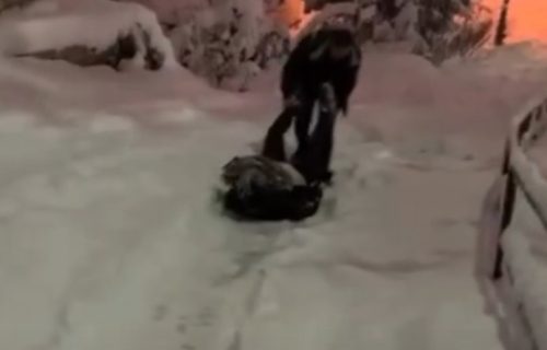 "Bebino prvo sankanje": Urnebesan snimak Bosanca kako spušta trudnicu niz zavejano brdo