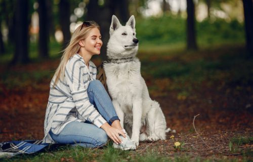 Istraživanje otkriva: Ženke pasa prepoznaju osobu kojoj mogu da veruju i koliko je sposobna