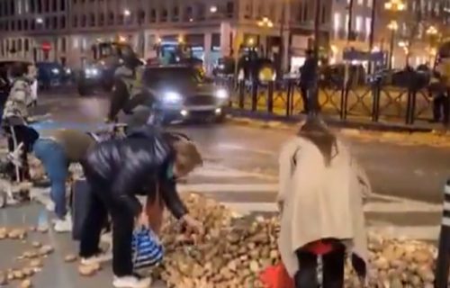 More krompira na ulicama prestonice: Toliko je rodio da ga dele besplatno, ljudi jedva stižu da ga pokupe