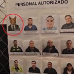 Mačor Mjaurisio "potpisao" ugovor sa firmom: Sada je menadžer, a evo šta su mu dužnosti (VIDEO)