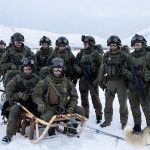 Nemački vojnici napustili Grenland posle manje od dva dana
