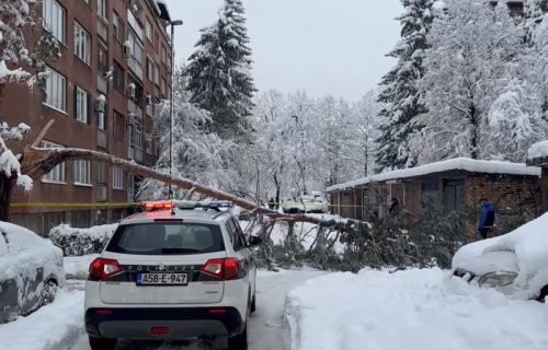Stablo palo na ženu i ubilo je: Sneg okovao Sarajevo, građani ogorčeni zbog haosa u gradu