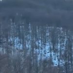 Krupna zverka snimljena blizu srpskog ski-centra: Apeluje se na posetioce da ne prilaze