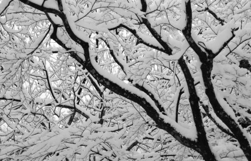 Ledeni udar pred Sretenje: Meteorolog Ristić najavio dramatične promene vremena u rasponu od 22 stepena