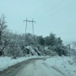 Kritično stanje u delovima Srbije: Snežna oluja zavejala puteve, stabla padaju na kolovoz