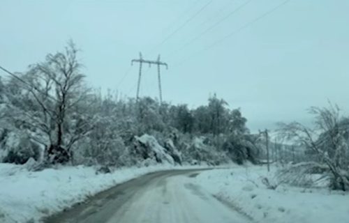 Kritično stanje u delovima Srbije: Snežna oluja zavejala puteve, stabla padaju na kolovoz