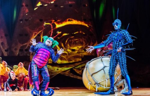 Velika vest za ljubitelje mode: Cirque du Soleil i predstava “OVO” donose kostimografski spektakl u Beograd