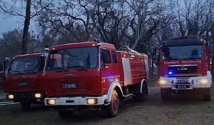Borba sa vatrenom stihijom kod Novog Sada: Bukti na više lokacija