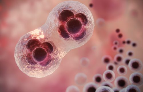 Fascinantno otkriće: Zabeležena “nulta tačka” razvoja života