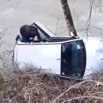 Ivica junak velike drame: Skočio u akciju čim je video auto u reci, pojavio se zapanjujući snimak