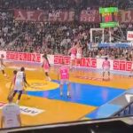Zvezda osvojila "Žućkovu levicu": Nestvarna igra Dobrića i Nvore, slomljen otpor Mege u finalu