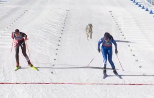 Hrvatsku skijašicu jurio pas na Olimpijskim igrama: Šok snimak iz Italije