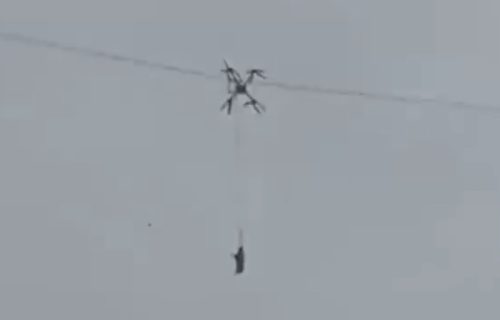 Havarija zbog leteće svinje: Nestala struja u celom selu (VIDEO)