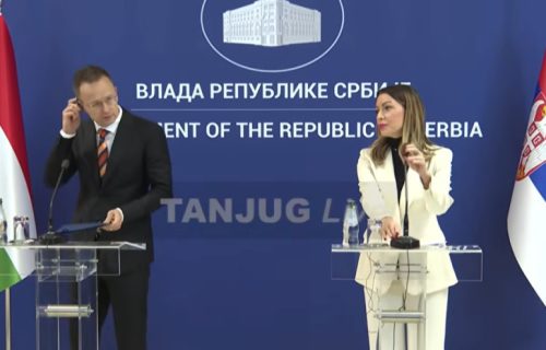Biće 16 međunarodnih vozova dnevno: Mesarović i Sijarto o pruzi Beograda-Budimpešta i ekonomskoj saradnji